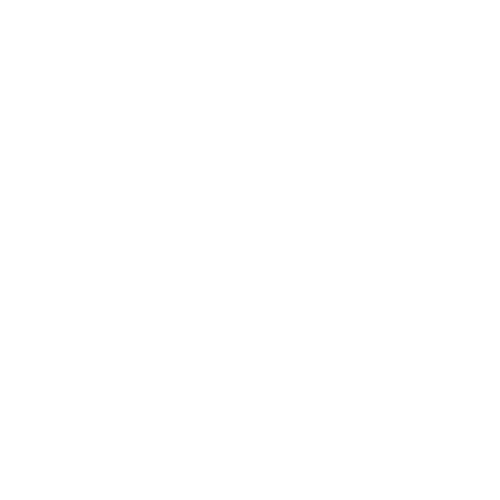 Xeni Auto's Emmen